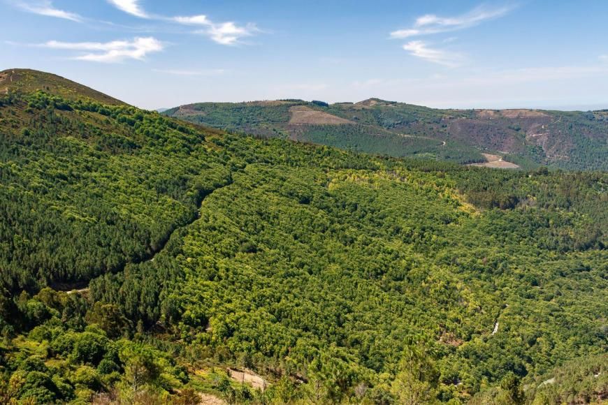 EDITAL - PROPOSTA DO PLANO DE COGEST&Atilde;O DA PAISAGEM PROTEGIDA DA SERRA DO A&Ccedil;OR