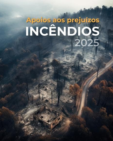 Apoios aos prejuízos dos incêndios – candidaturas abertas